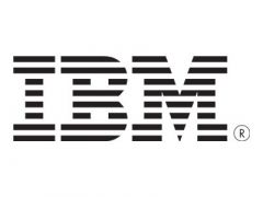 IBM Host Interface Card